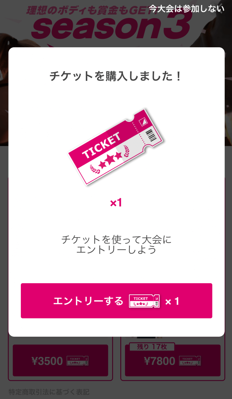 FITFES ticket